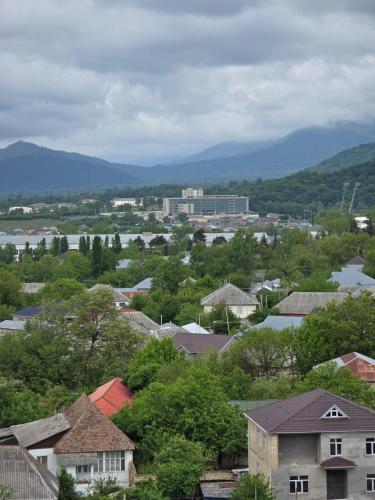 a view of a town with a river and buildings at Gabala Tufandag City Hotel in Gabala