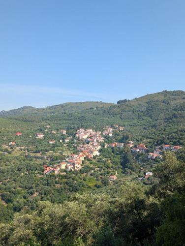 Φυσικό τοπίο κοντά σε αυτό το διαμέρισμα