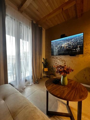 TV a/nebo společenská místnost v ubytování Taca House - Airport apartman