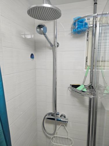 a shower with a glass door in a bathroom at Kuća za odmor NADA in Legrad