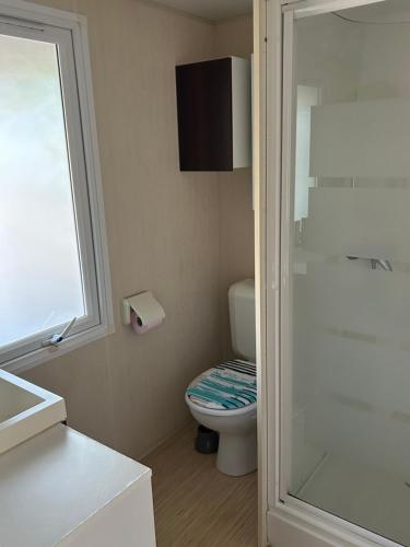 a bathroom with a toilet and a sink and a shower at Location du Ranch in Algajola