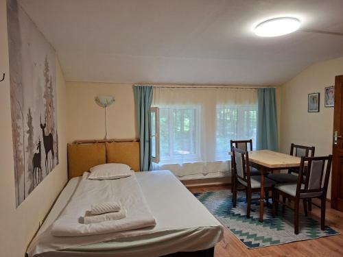 a hospital room with a bed and a table at Villa Sveti Dimitar in Borovets