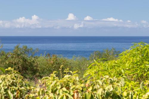 a view of the ocean from a field of bushes at Bungalow Pointe Châteaux St Leu ocean view, pool in Saint-Leu