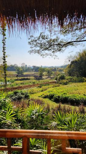 a view of a field from a bench at Tatvani Thailand - Private All-Inclusive Estate in Chiang Rai