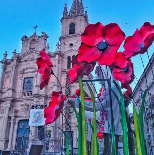 un grupo de flores rojas delante de un edificio en Incanto d'Aci, en Acireale