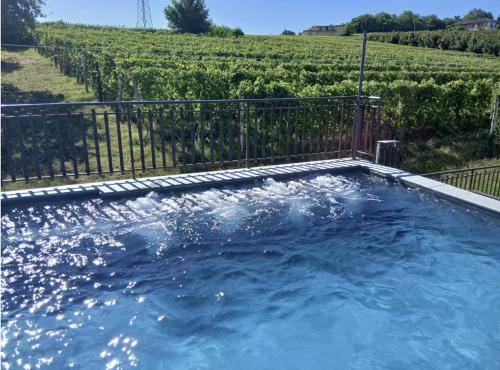 a swimming pool with blue water in front of a vineyard at Tra... Monti E Vigne in La Morra