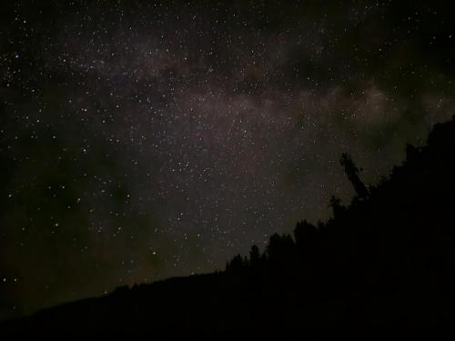 a person standing on a hill under a starry sky at Freebird Nest Retreat in Jibhi