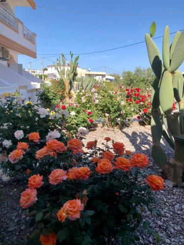 a garden with flowers and a statue of a bunny at Anthoulis Studios in Kefalos