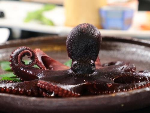 Galería fotográfica de 真砂悠々庵 en Minamichita