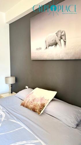 Safari Calpe