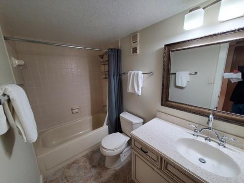 Un baño con lavabo, inodoro y espejo. en Sand Dollar 101, en St. Augustine