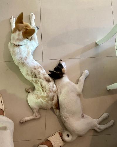 Gallery image of ký ức tươi đẹp homestay in Hue