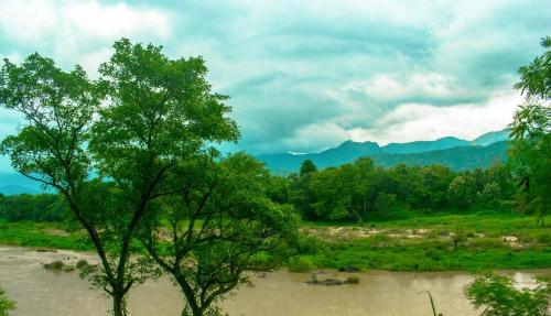 a tree in the middle of a river at The New Rest House Mahiyanganaya in Mahiyangana