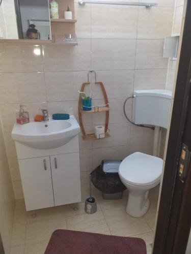 a small bathroom with a toilet and a sink at Saturn Alfa Residence - 2 Rooms Apartment in Saturn