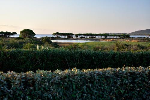 a field of bushes with the ocean in the background at Janna e Luna Resort in Agrustos