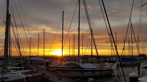 a group of boats docked in a marina at sunset at Boots-Camping Grevelingen in Herkingen