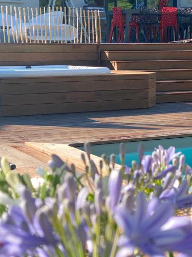 un gros plan de fleurs violettes à côté d'une piscine dans l'établissement Villa Whaou 5*, piscine chauffée, jacuzzi, à Sémussac
