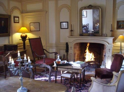 a living room with a fireplace and a fire place at Manoir de la Baronnie in Saint Malo