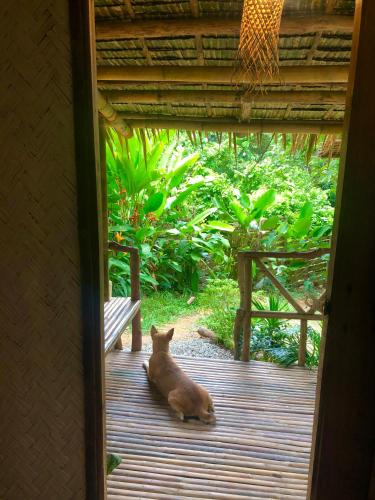 SampongにあるCabana Anahawの家の玄関に座る猫