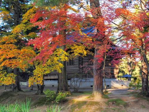 a group of trees with colorful leaves in front of a building at Hotel Green Mark in Sendai