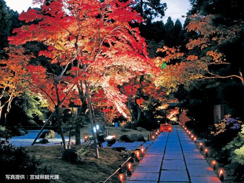 a pathway with lights in a park at night at Hotel Green Mark in Sendai