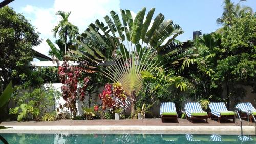 Gallery image of Casa Maria Mirissa in Mirissa