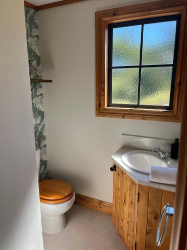 a bathroom with a toilet and a sink and a window at Dara Vineyard Cottage in Martinborough