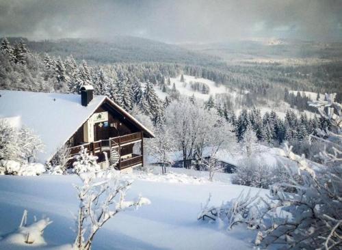 a cabin in the snow with a mountain at Aotearoa - Mountain apartment in Bavaria, Mitterdorf - Mitterfirmiansreut in Mitterfirmiansreut