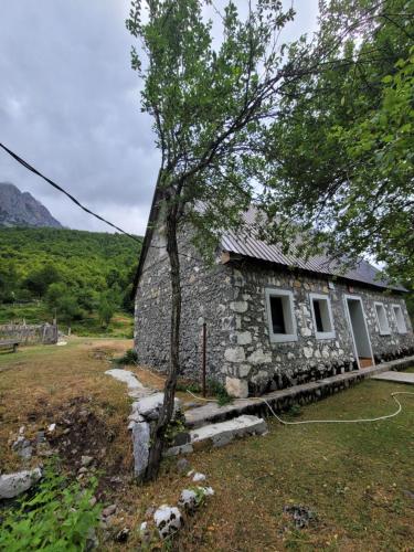 a stone house with a tree in front of it at Guest House Emanueli in Tropojë