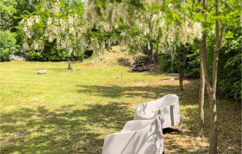 a white bench sitting under a tree in a field at Beautiful Home In Sveti Anton With Wifi in Sveti Anton