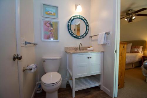 a bathroom with a toilet and a sink with a mirror at 705 Silverside in Fripp Island