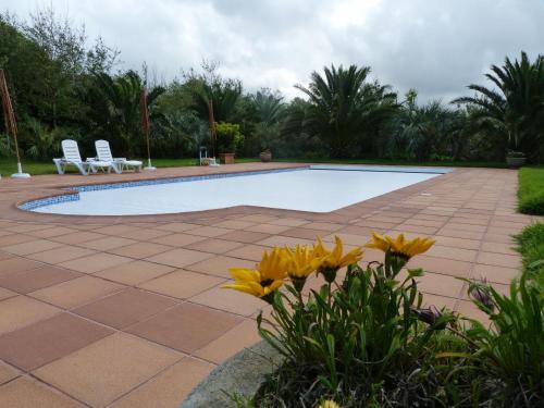 a swimming pool with two white chairs and flowers at Atlantico Apartments in Ribeira Grande