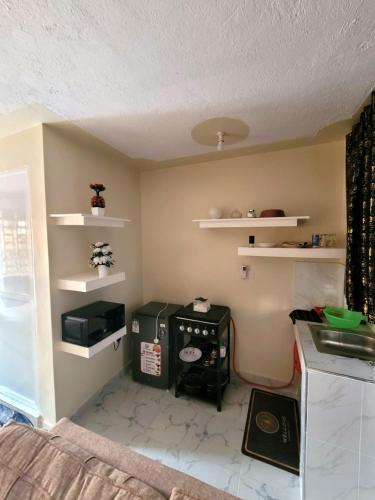 Kuchyň nebo kuchyňský kout v ubytování Ecopalace Homes Juja