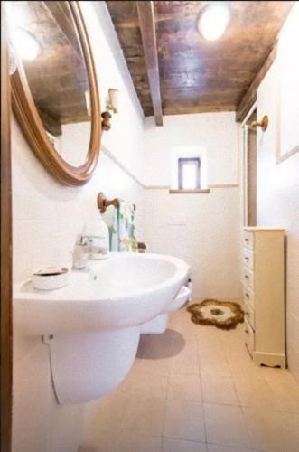 a bathroom with a white sink and a mirror at Agriturismo La Calamaia in Gorfigliano