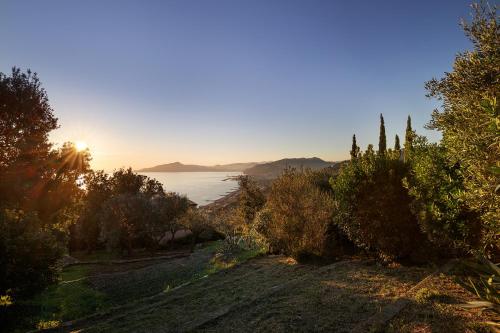 a view of the ocean from a hill with trees at Villa Ornella in Cavi di Lavagna