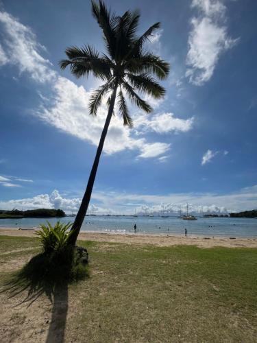 a palm tree on a beach with people in the water at Studio Bel Air in Punaauia