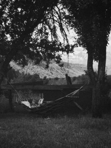 a person laying in a hammock under a tree at Tariba Guesthouse & Camping in Mestia