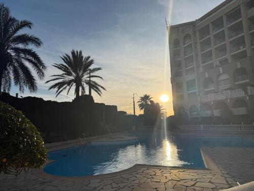 Palm d'Azur 459