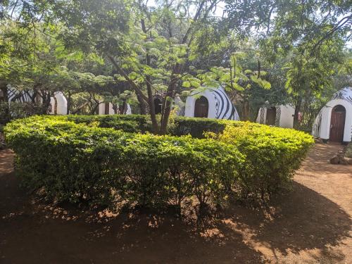 Gallery image of Panorama Safari Camp in Mto wa Mbu