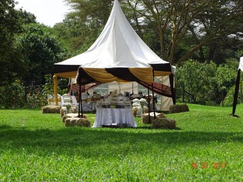 a tent with a table in a field of grass at Storms Resort & Campsite in Nanyuki
