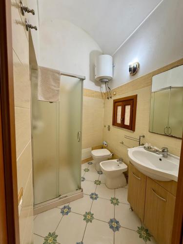 a bathroom with a shower and a toilet and a sink at Monolocale Poseidonea in Favignana