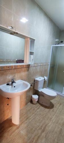a bathroom with a sink and a toilet and a mirror at Apartamentos Turísticos Edificio del Pino in Sorbas