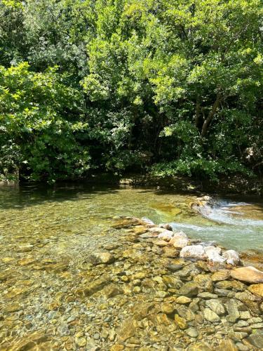a stream of water with rocks and trees at Gîte Guillaumand in Pompignan