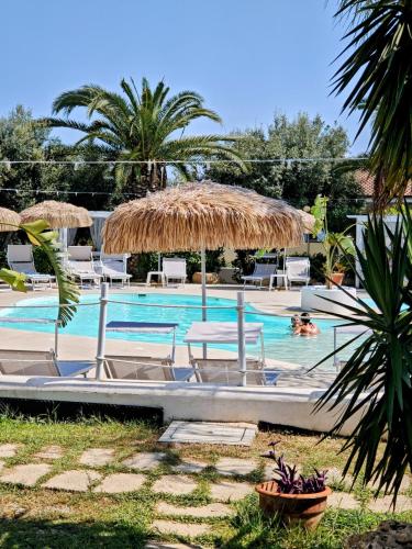 a swimming pool with chairs and a straw umbrella at Costa Real - Garden Retreat with Private beach, Pet Friendly in Capo Vaticano