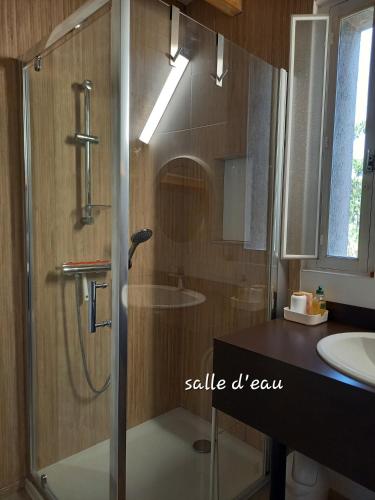 a shower with a glass door in a bathroom at Au Numéro 20 in Tournon-Saint-Pierre