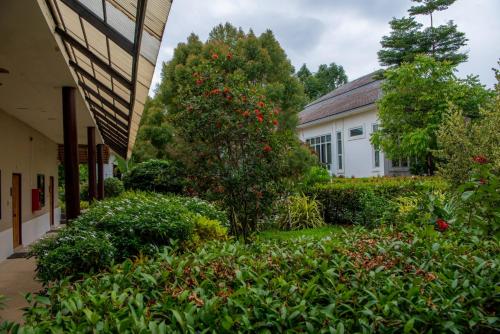 Ban Nong Khamにあるขุมทรัพย์โฮเทล KhumSaps Hotelの赤い花が咲いた木がある建物の前の庭