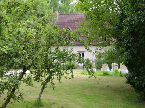 an apple tree in front of a house at Charming Chalet with Swimming Pool in Quend in Quend
