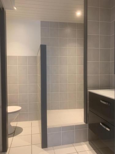 a bathroom with a shower with a sink and a toilet at Un petit coin de Paradis in Lalley