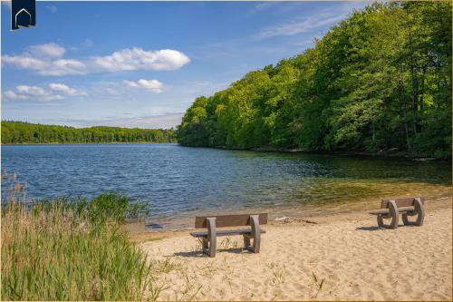 two benches sitting on a beach next to a lake at Ferienhaus Zirchow 4 in Zirchow
