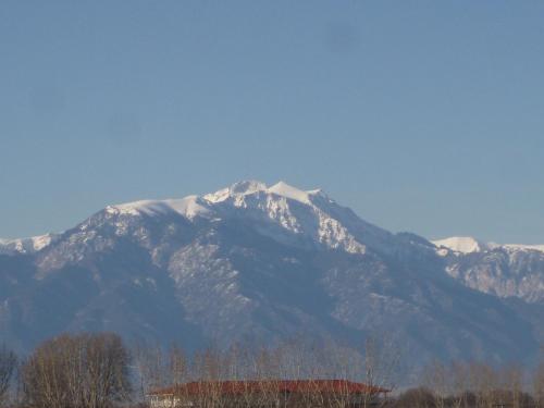 ホテルから撮影された、または一般的な山の景色